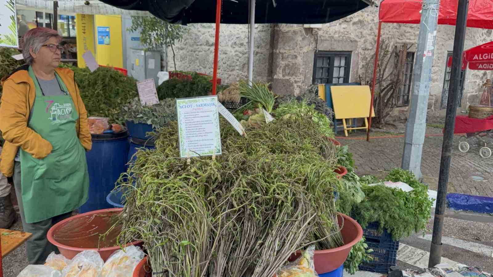 yagmur dinlemediler bodrum aci ot festivaline ziyaretci akini 14 AhNQA3Il