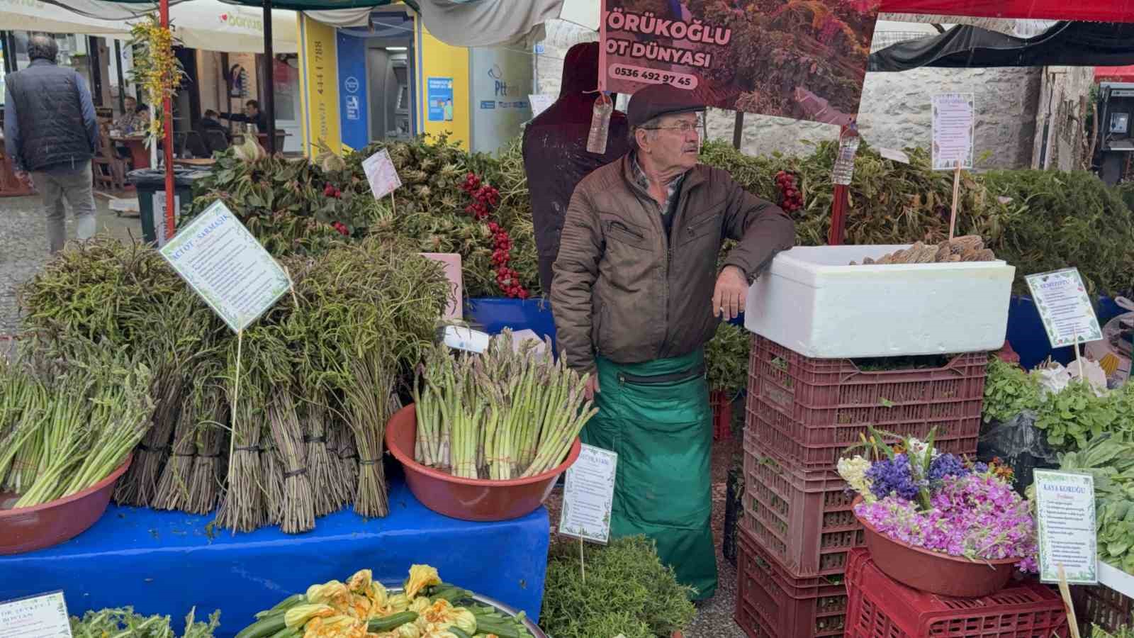 yagmur dinlemediler bodrum aci ot festivaline ziyaretci akini 15 zcOkCsGR