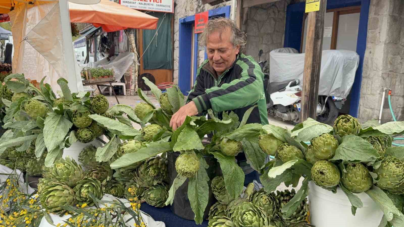 yagmur dinlemediler bodrum aci ot festivaline ziyaretci akini 7 Y9F73iZs