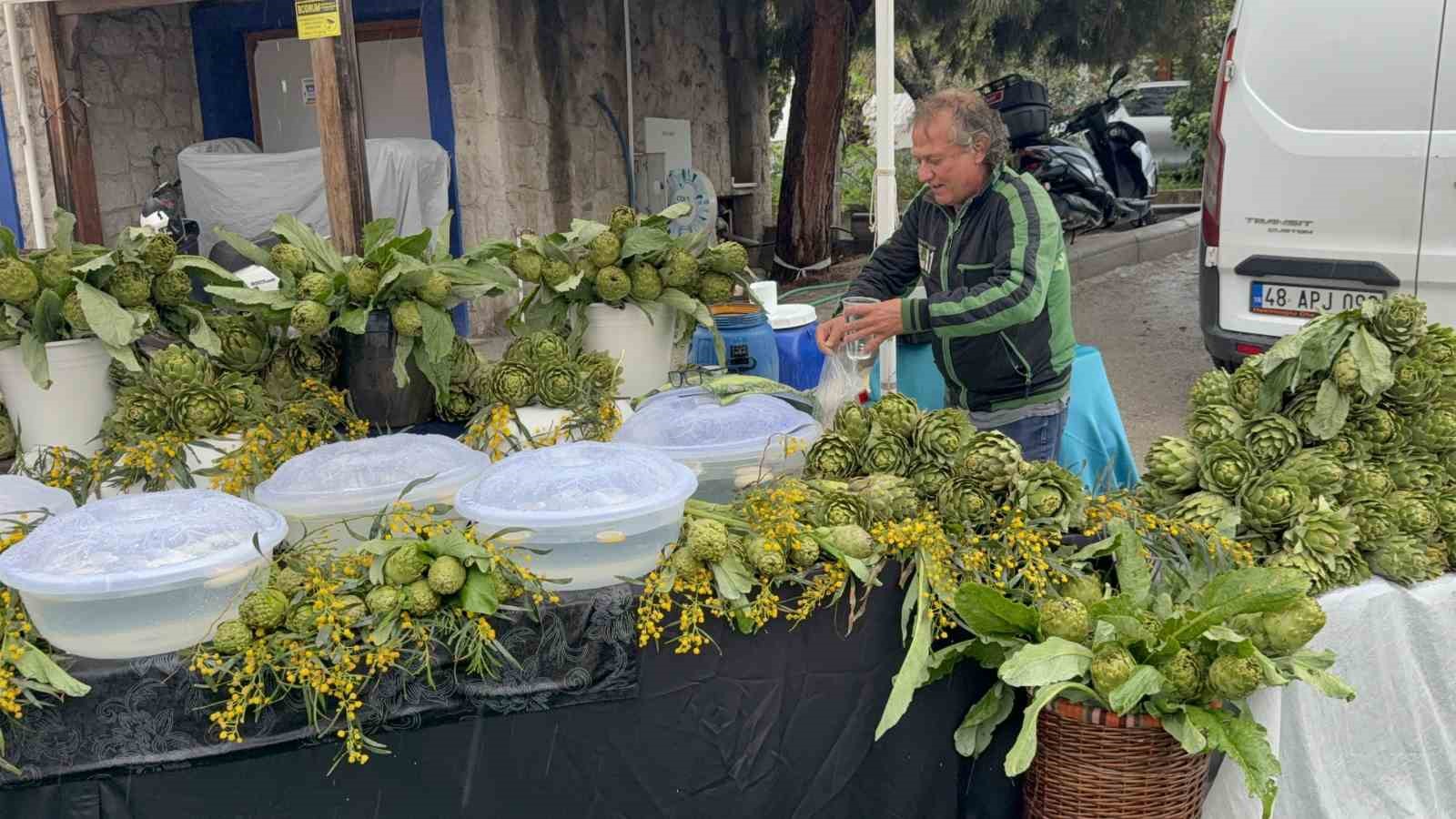 yagmur dinlemediler bodrum aci ot festivaline ziyaretci akini 8