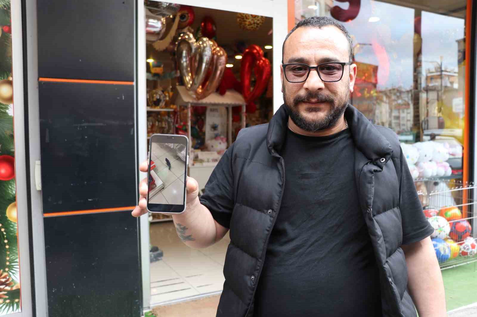 yagmurdan kacan yavru karga is yerine sigindi 0 RQsOT53j