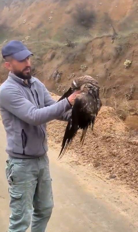 yakalan yarali sahin ekiplere teslim edildi 3 6PWFw3wn