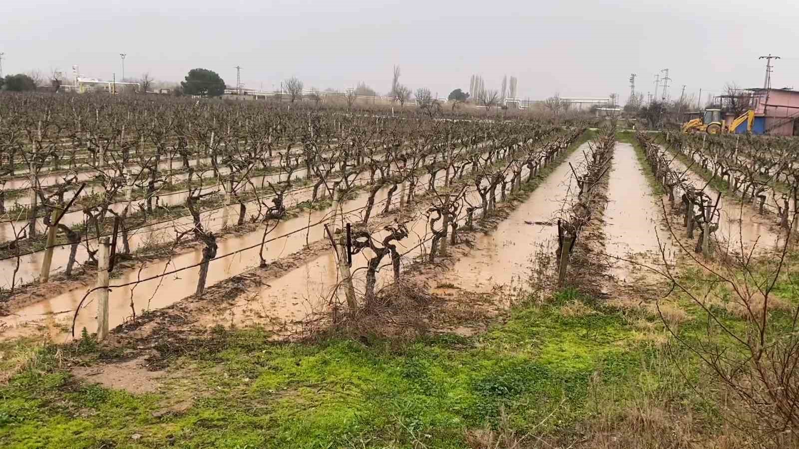 yalanci bahar aldatti badem agaclari cicek acti 1 6Dji6lz1