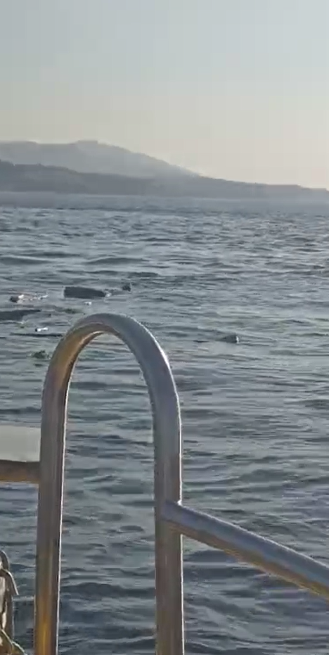 yalova aciklarinda su tankeri tekneye carpti 2 kisi denize atlayarak kurtuldu 4