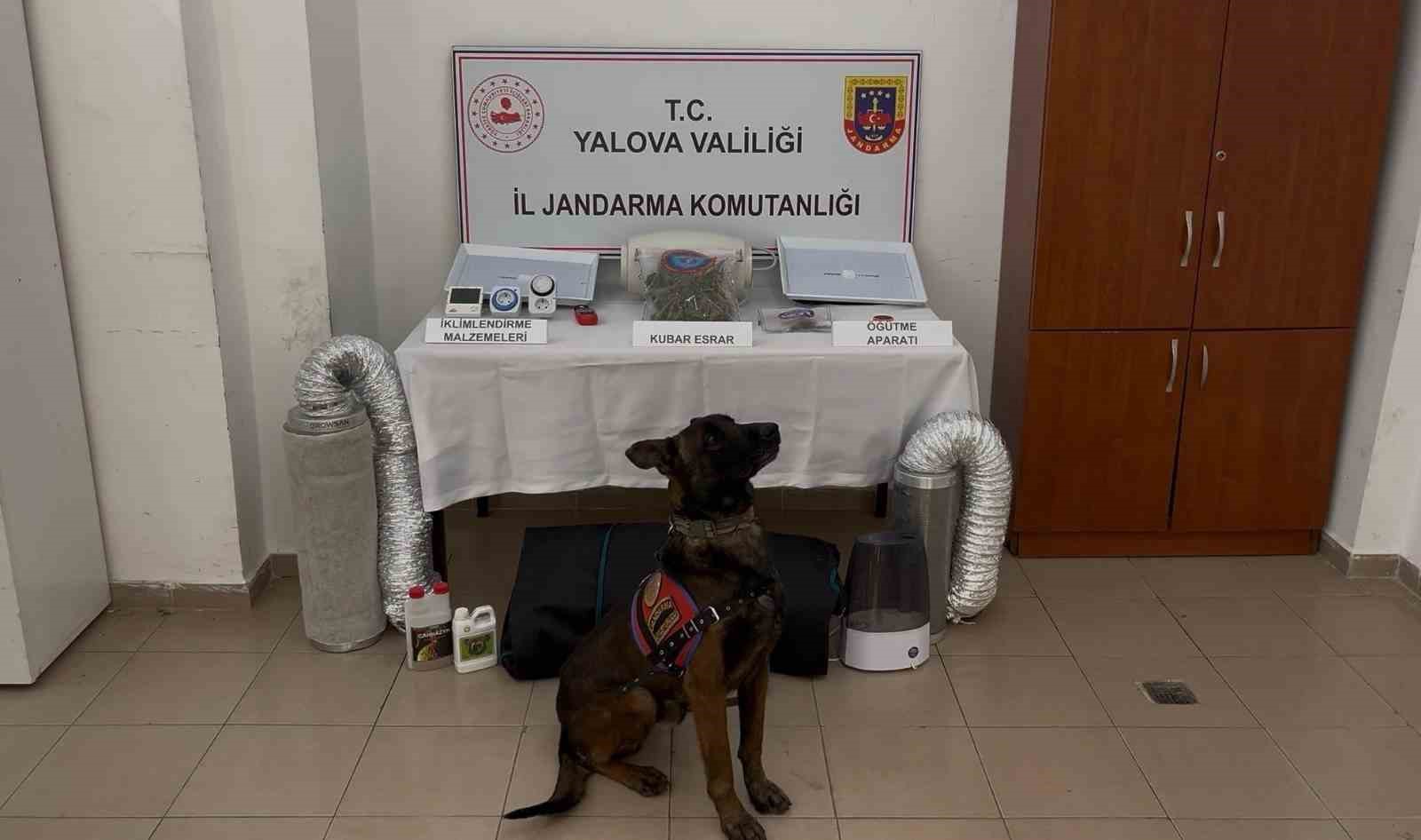 yalova merkezli 3 ilde gocmen kacakciligi operasyonu 3 tutuklama 0 2HliOHWL
