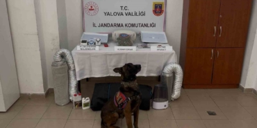 yalova-merkezli-3-ilde-gocmen-kacakciligi-operasyonu-3-tutuklama-WQla2Jav.jpg