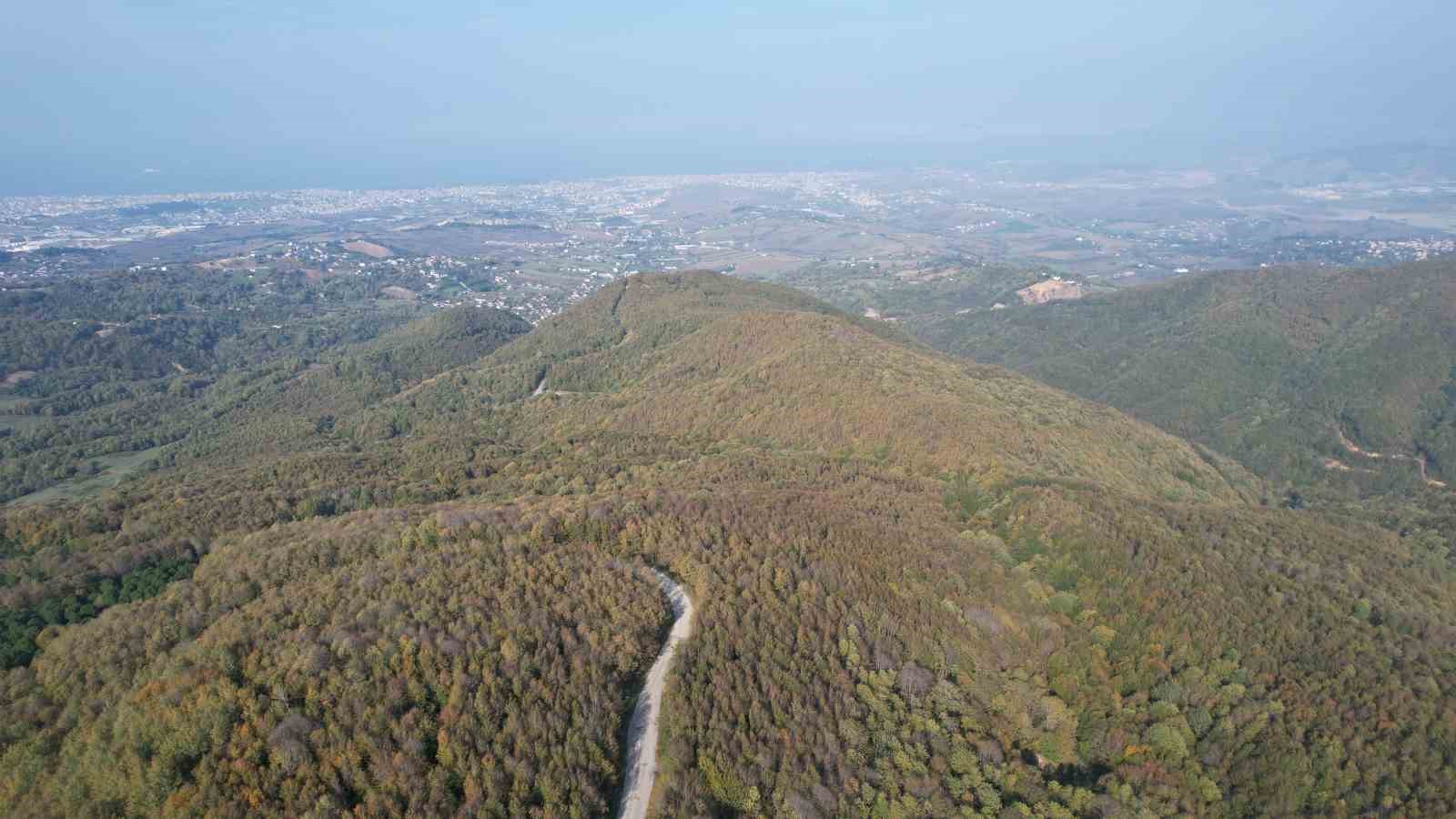 yalova ormanlarinda sonbahar guzelligi 3 NUmAU5mO