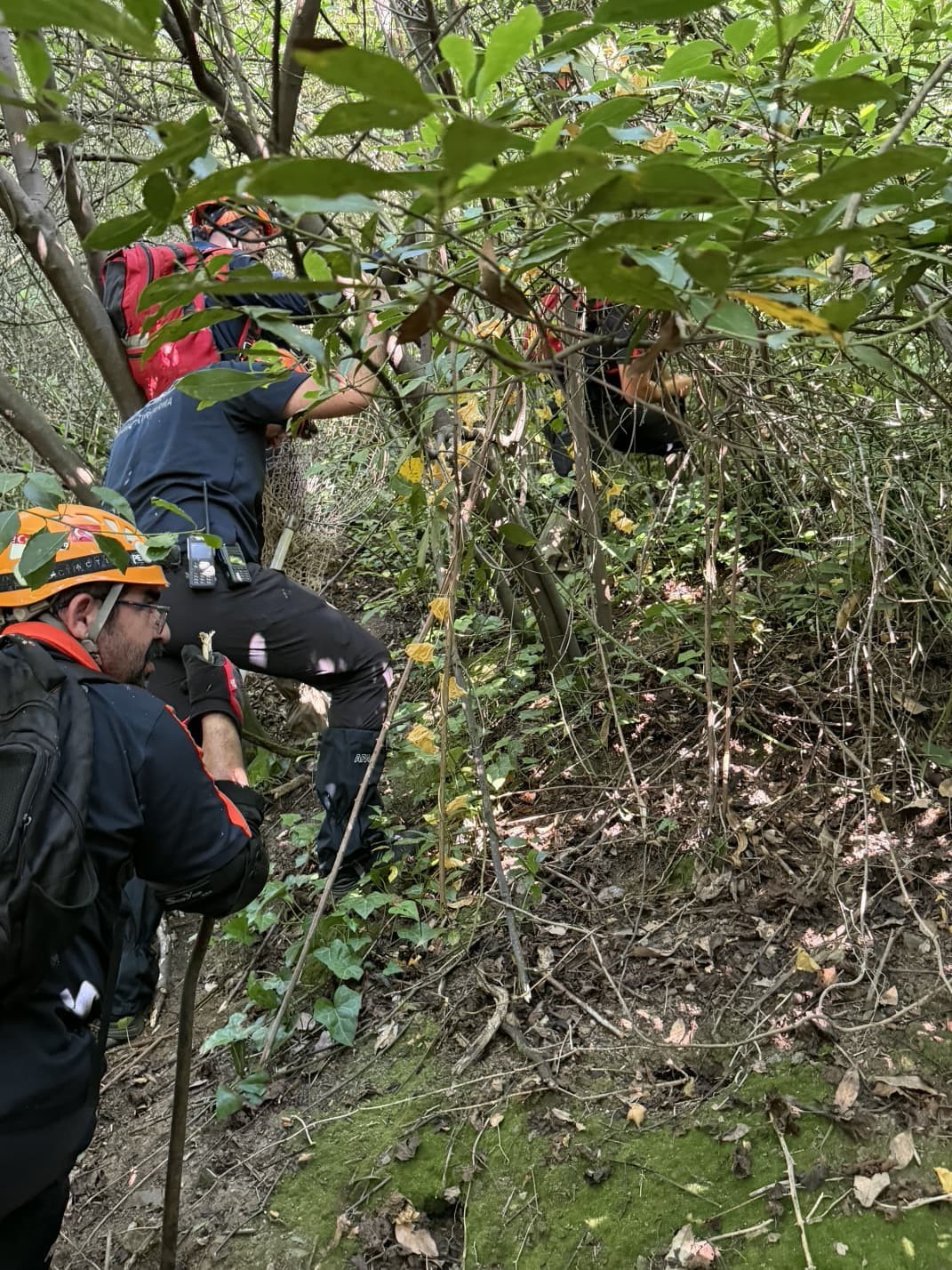 yalovada 3 gun su kuyusunda mahsur kalan kopek kurtarildi 4 X6lqjyUv
