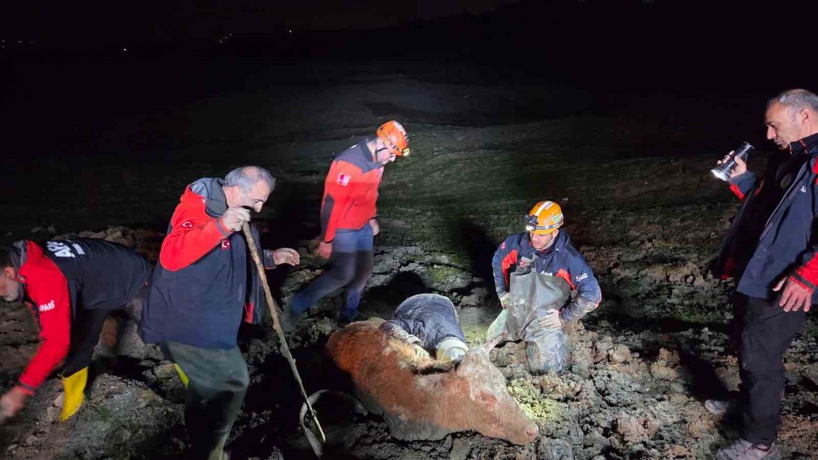 yalovada bataklikta mahsur kalan vatandas ve buyukbas hayvani kurtarildi 1 1tCLMh1z