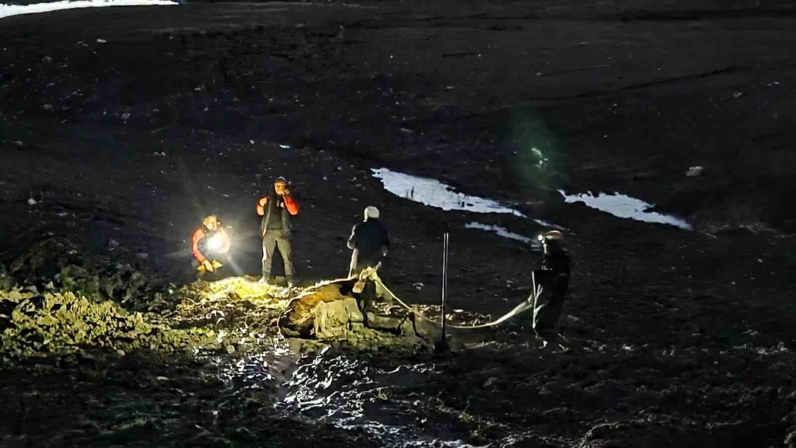 yalovada bataklikta mahsur kalan vatandas ve buyukbas hayvani kurtarildi 4 eUwQA1er