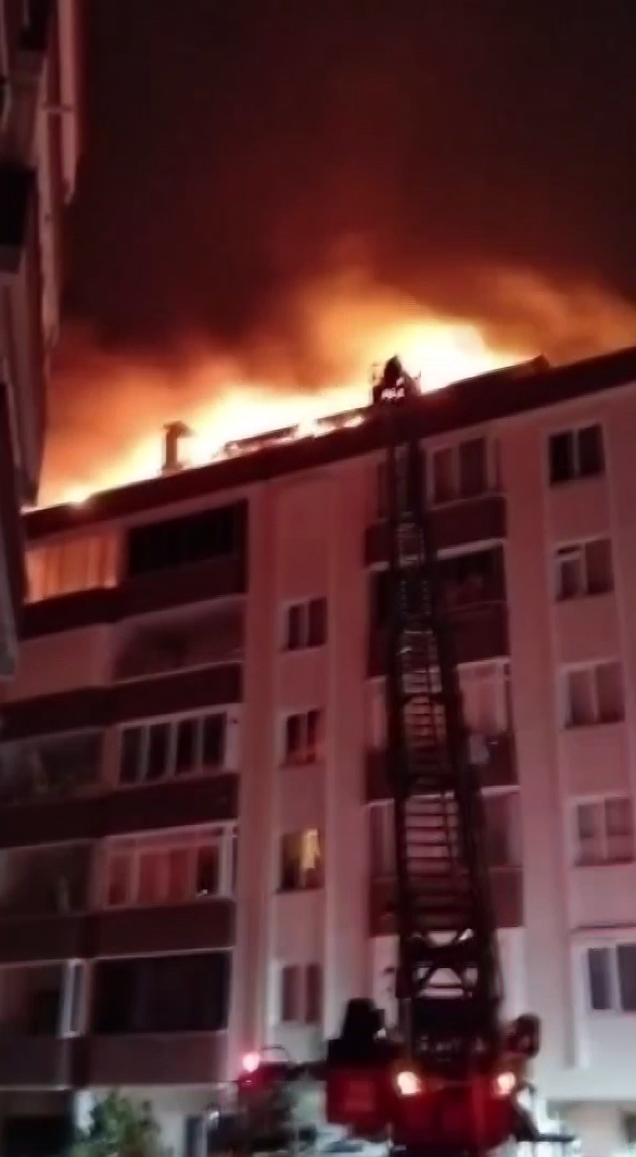 yalovada cati katinda mangal keyfi yanginla bitti 1 ELTCNIWa