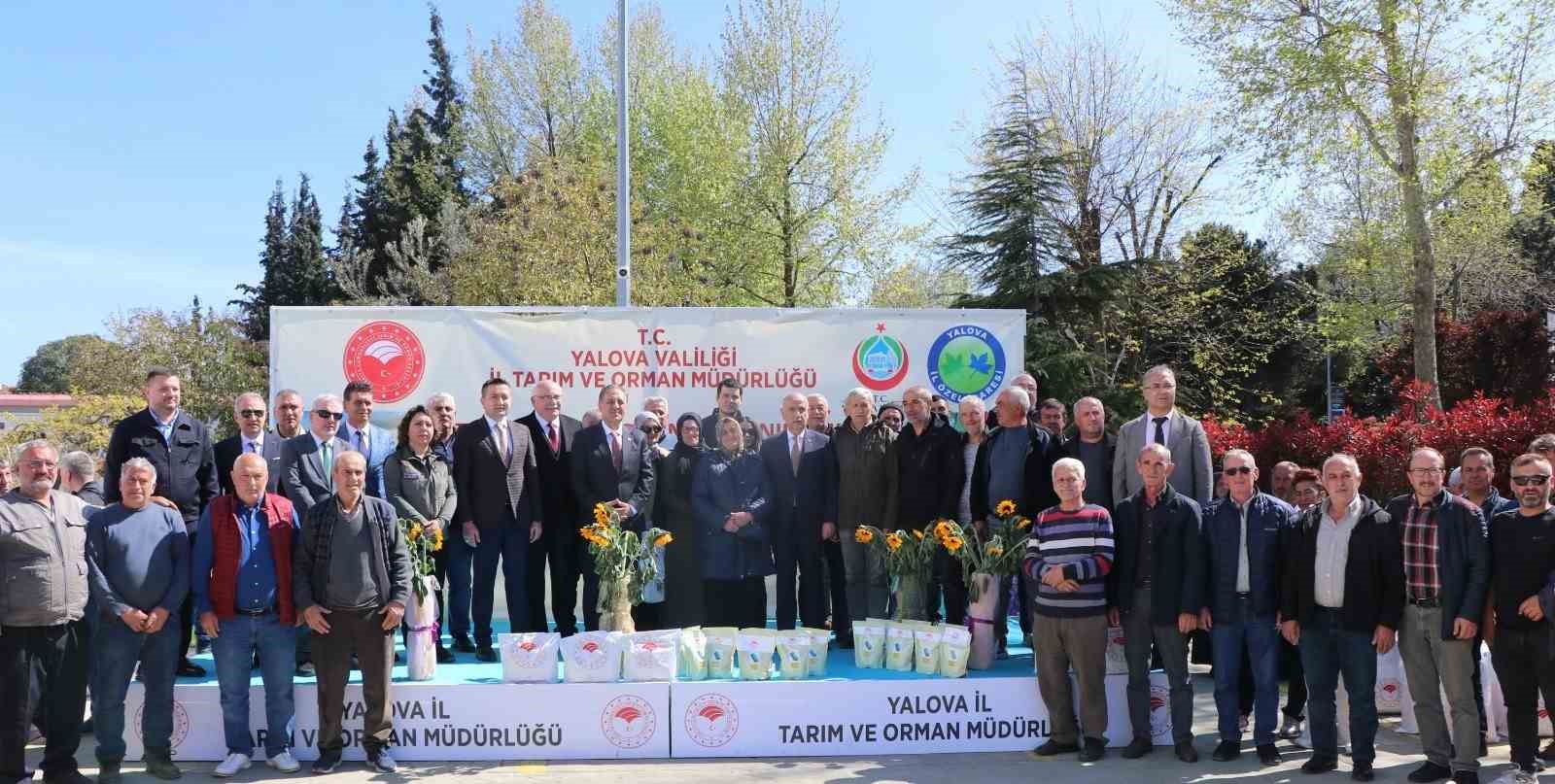 Yalova’da çiftçiye ayçiçeği ve fasulye tohumu desteği 4 yalovada ciftciye aycicegi ve fasulye tohumu destegi 0 DMuCP9ED