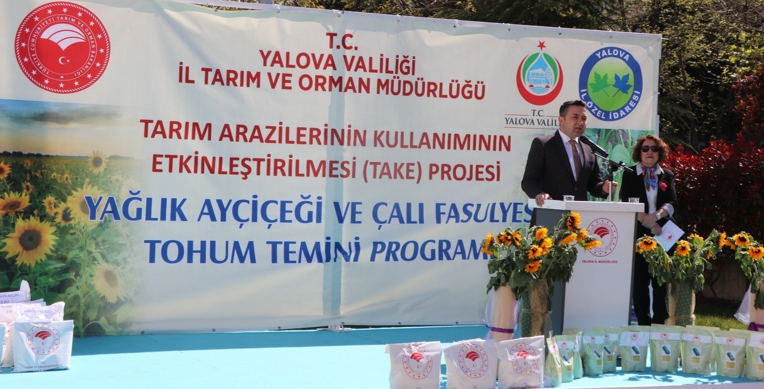 Yalova’da çiftçiye ayçiçeği ve fasulye tohumu desteği 8 yalovada ciftciye aycicegi ve fasulye tohumu destegi 4