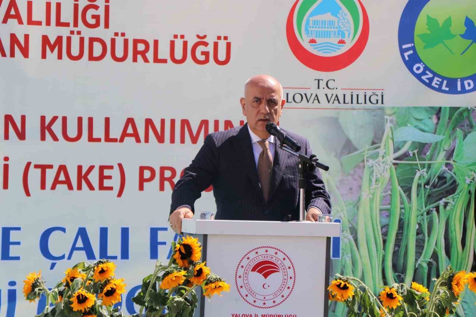 Yalova’da çiftçiye ayçiçeği ve fasulye tohumu desteği 9 yalovada ciftciye aycicegi ve fasulye tohumu destegi 5