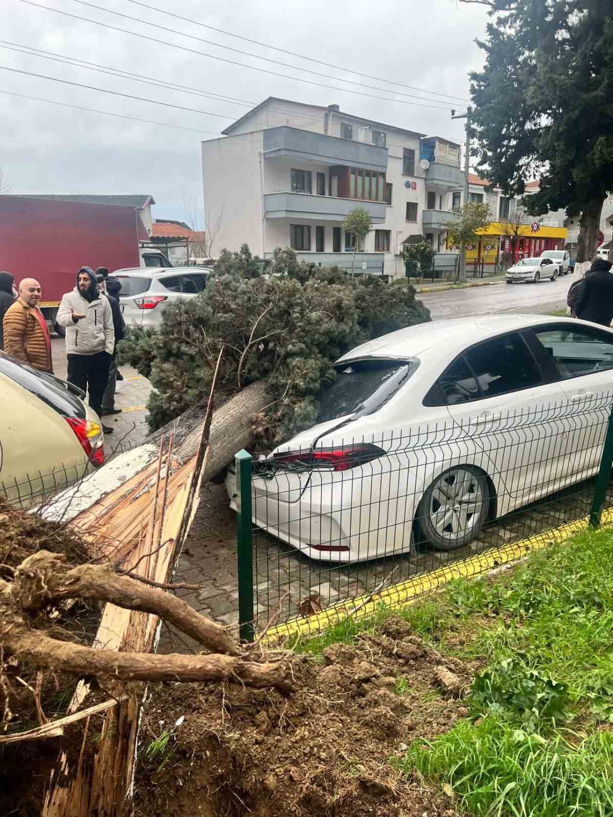 yalovada firtina hayati olumsuz etkiliyor 1 Rh45tbbW