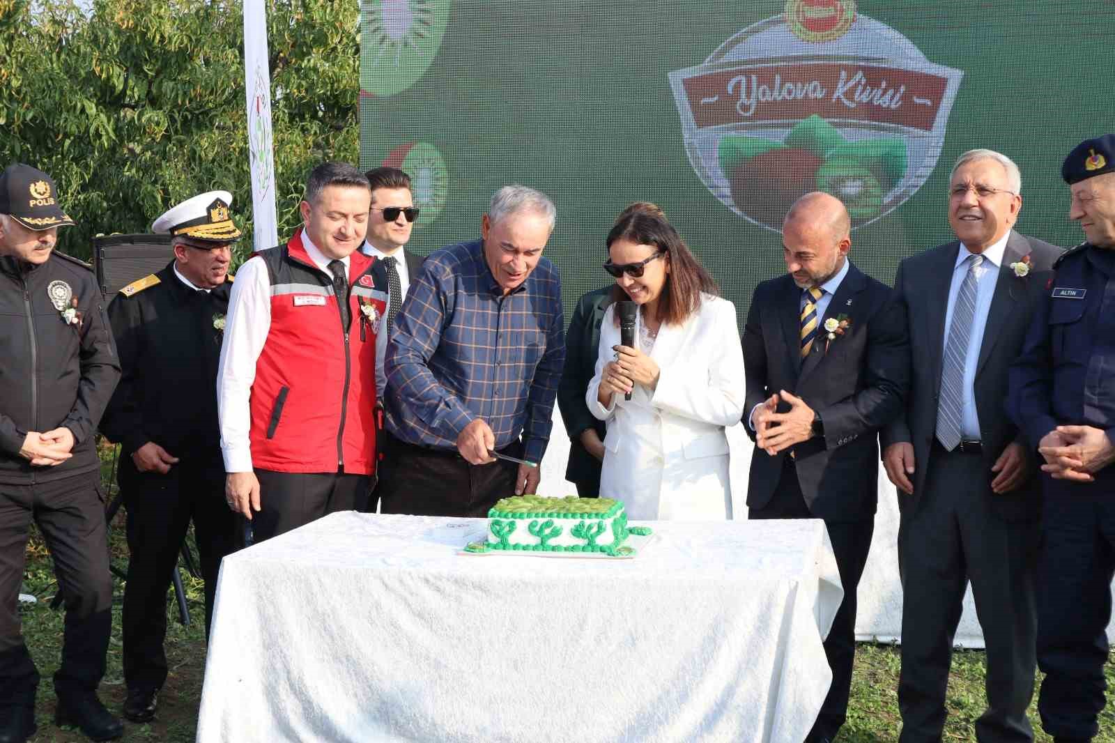 yalovanin cografi isaretli meyvesi kivide hasat sevinci 1 kYQ7EYjn