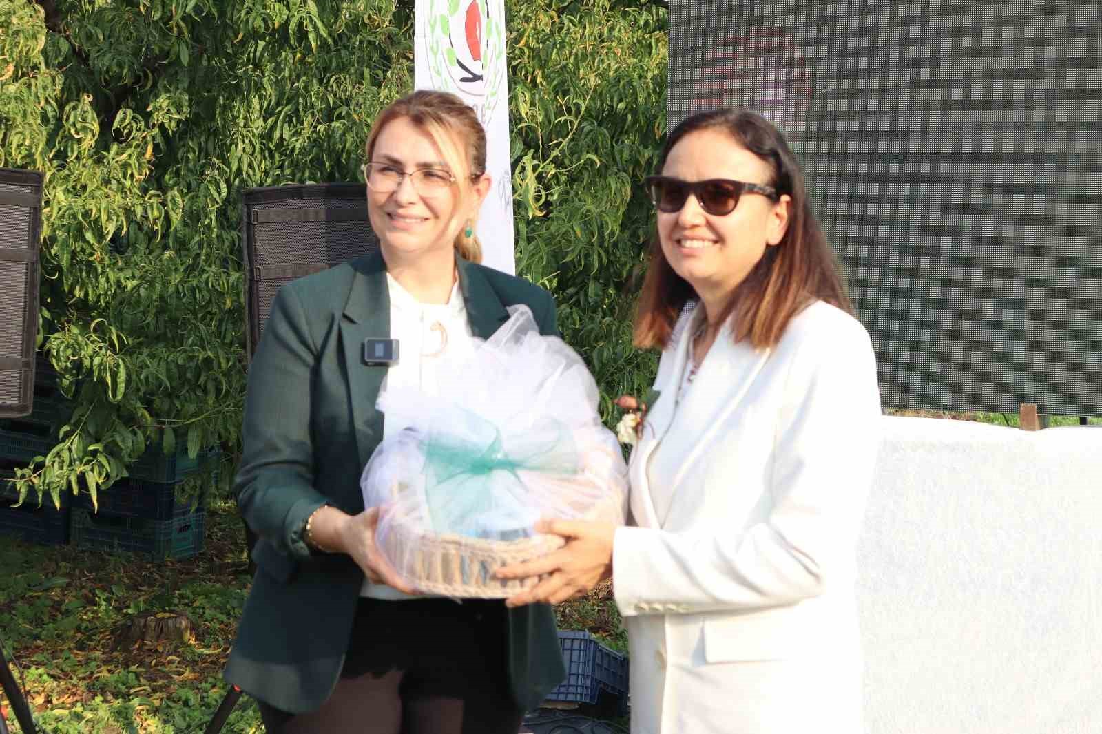 yalovanin cografi isaretli meyvesi kivide hasat sevinci 4 isAWQTum