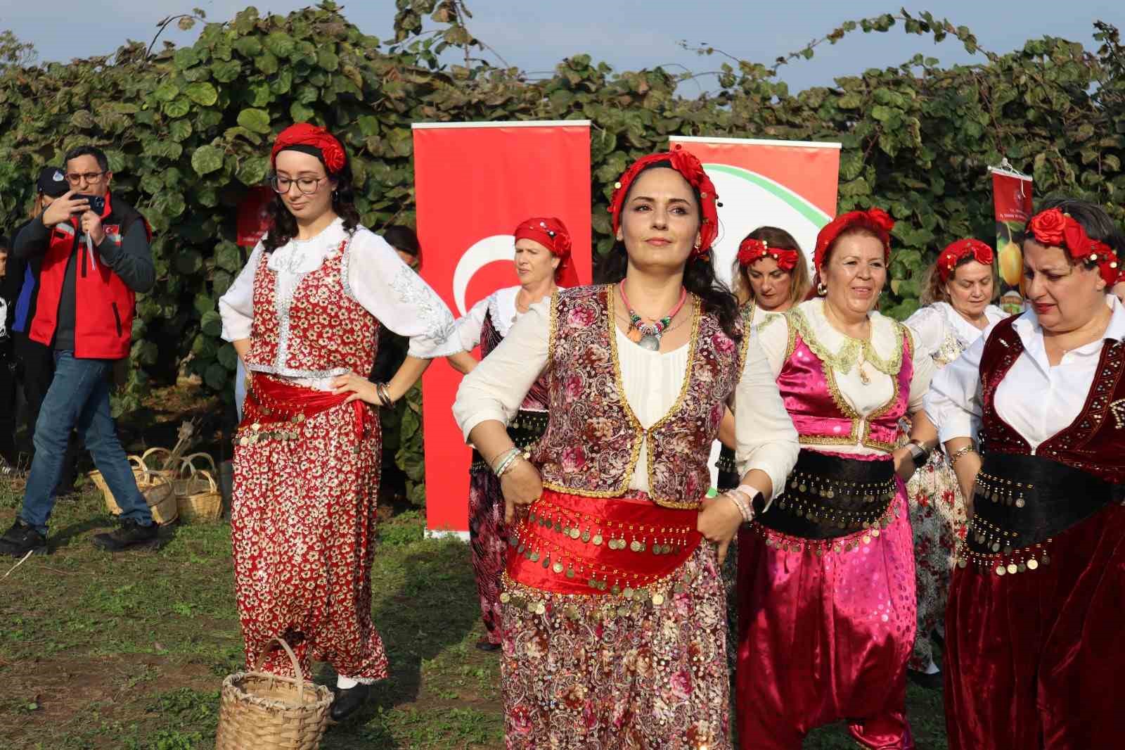 yalovanin cografi isaretli meyvesi kivide hasat sevinci 5 3gtKwYuO