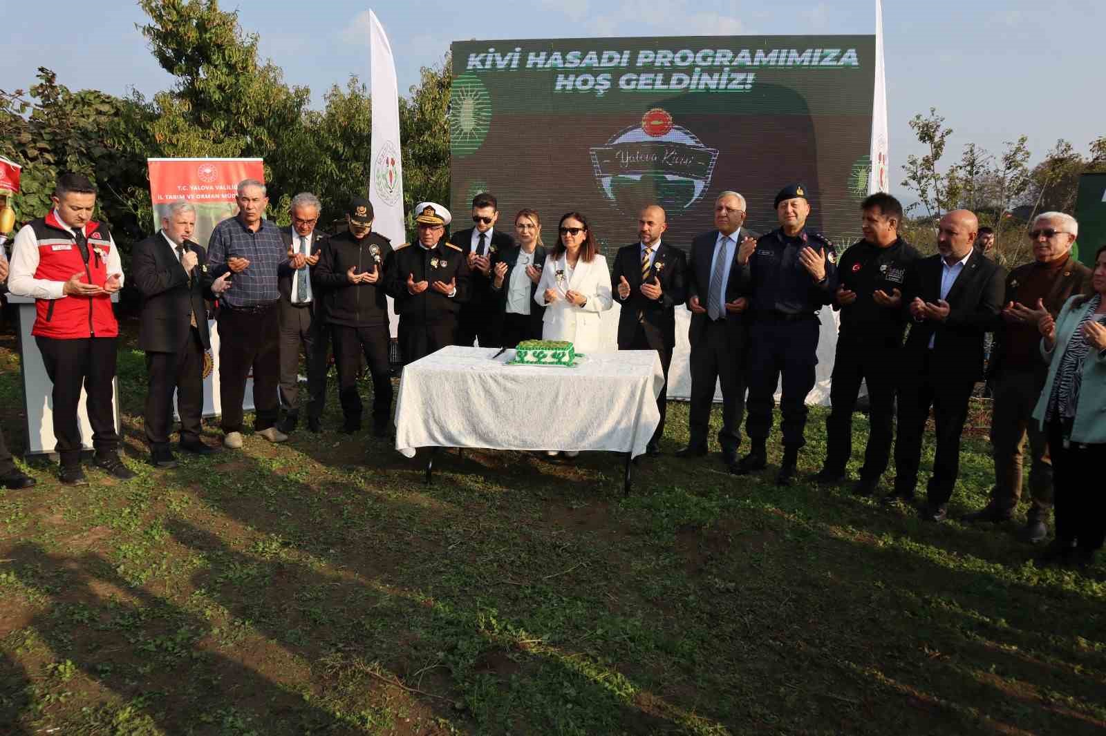 yalovanin cografi isaretli meyvesi kivide hasat sevinci 6 5zwaJWm7