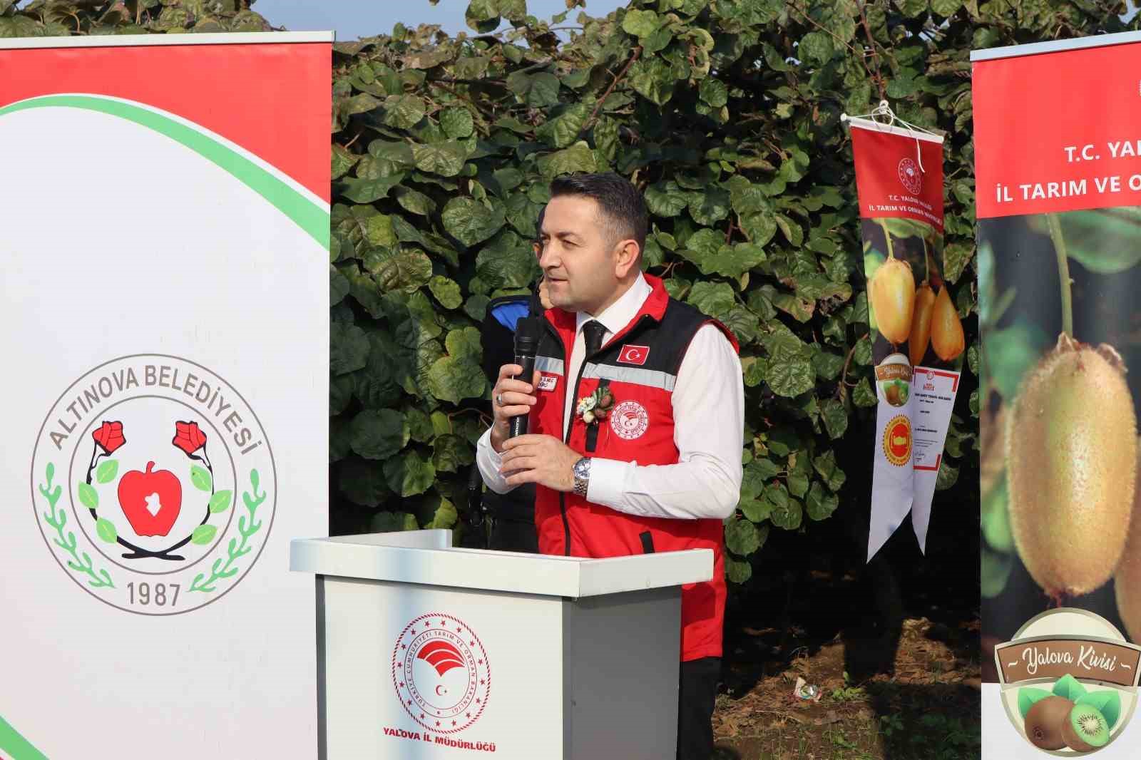 yalovanin cografi isaretli meyvesi kivide hasat sevinci 8 ITMSDZw3