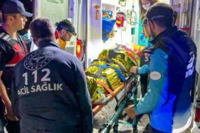 Ankara’da aracın çarptığı geyik telef oldu 3 thumbnail