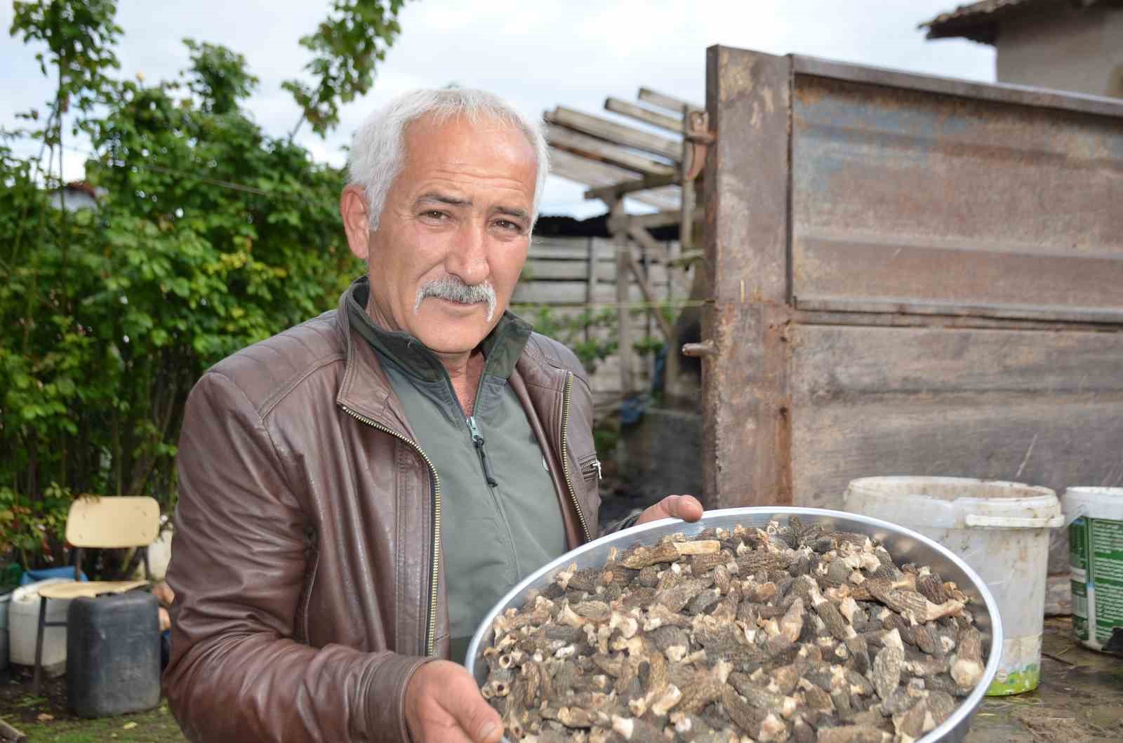 yanan ormanlik alanda doganin comertligi koyluleri sevindirdi fiyati gram altinda yarisiyor 1 i8O12Y4m