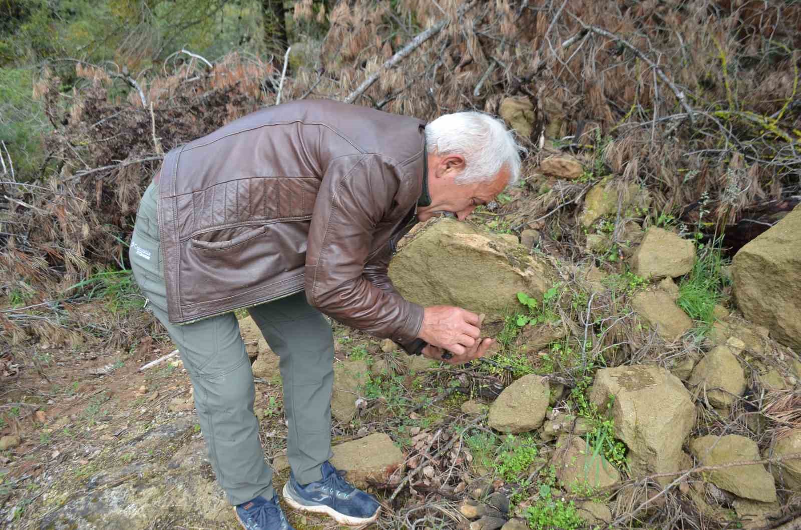 yanan ormanlik alanda doganin comertligi koyluleri sevindirdi fiyati gram altinda yarisiyor 5 GkuWs6vi