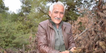 yanan-ormanlik-alanda-doganin-comertligi-koyluleri-sevindirdi-fiyati-gram-altinda-yarisiyor-ptKFpJiN.jpg