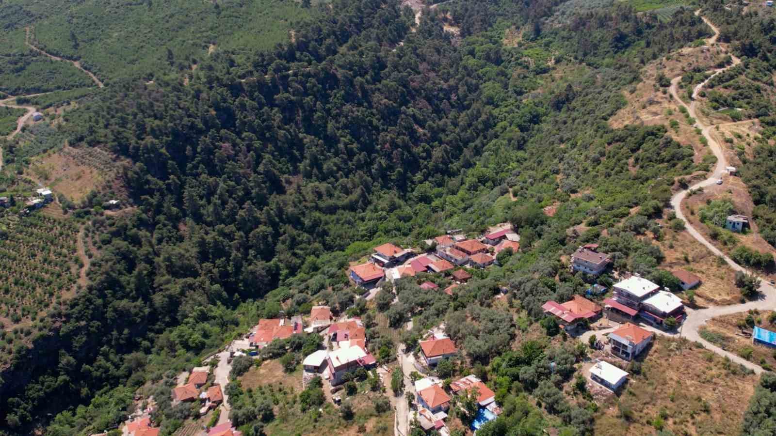 yangina gecit yok muhtardan havadan devriye 2 zZvUpXuW