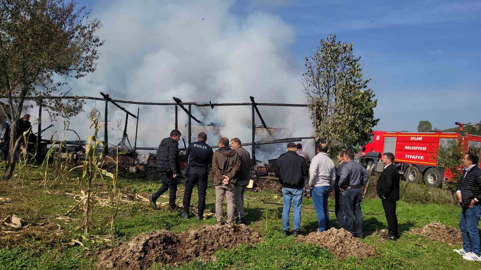 Yangında 36 kovan arı telef oldu 6 yanginda 36 kovan ari telef oldu 2 I9bwPjeI