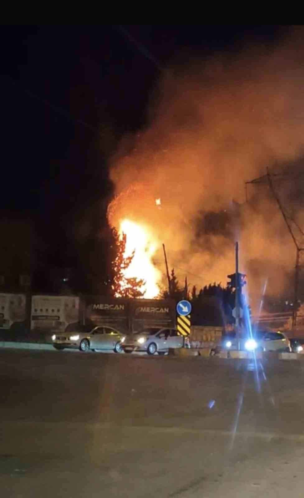 Yangında alevlerin arasında kalan kaplumbağayı polis ekipleri kurtardı 4 yanginda alevlerin arasinda kalan kaplumbagayi polis ekipleri kurtardi 0 JgzPH8TF