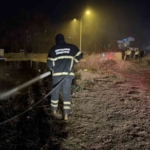 yanginda-alevlerin-arasinda-kalan-kaplumbagayi-polis-ekipleri-kurtardi-a86c8Odg.jpg