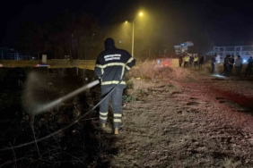 yanginda-alevlerin-arasinda-kalan-kaplumbagayi-polis-ekipleri-kurtardi-a86c8Odg.jpg