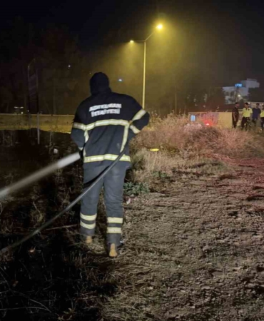 yanginda-alevlerin-arasinda-kalan-kaplumbagayi-polis-ekipleri-kurtardi-a86c8Odg.jpg