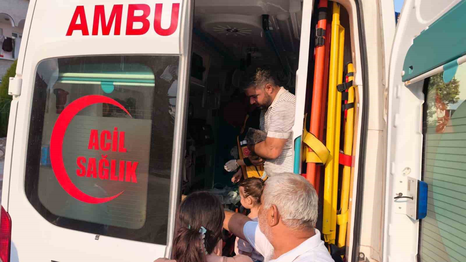 Yangında duygulandıran kurtarma: Anne kedi ve 2 yavrusu hayata döndürüldü 4 yanginda duygulandiran kurtarma anne kedi ve 2 yavrusu hayata donduruldu 0 GBKgskhn