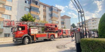 yanginda-duygulandiran-kurtarma-anne-kedi-ve-2-yavrusu-hayata-donduruldu-6gGQNOeO.jpg