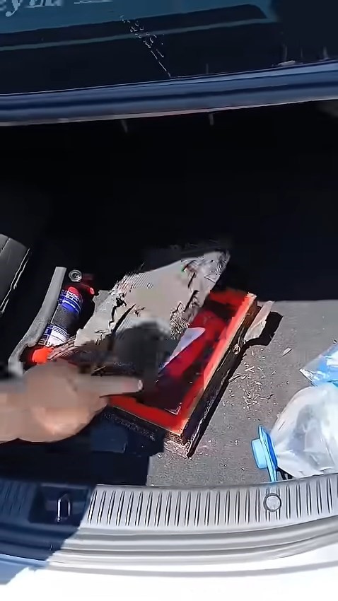 Yangında her şey kül oldu, Kur’an-ı Kerim ve Türk bayrağı zarar görmedi 8 yanginda her sey kul oldu kuran i kerim ve turk bayragi zarar gormedi 4 IBGcaSrG