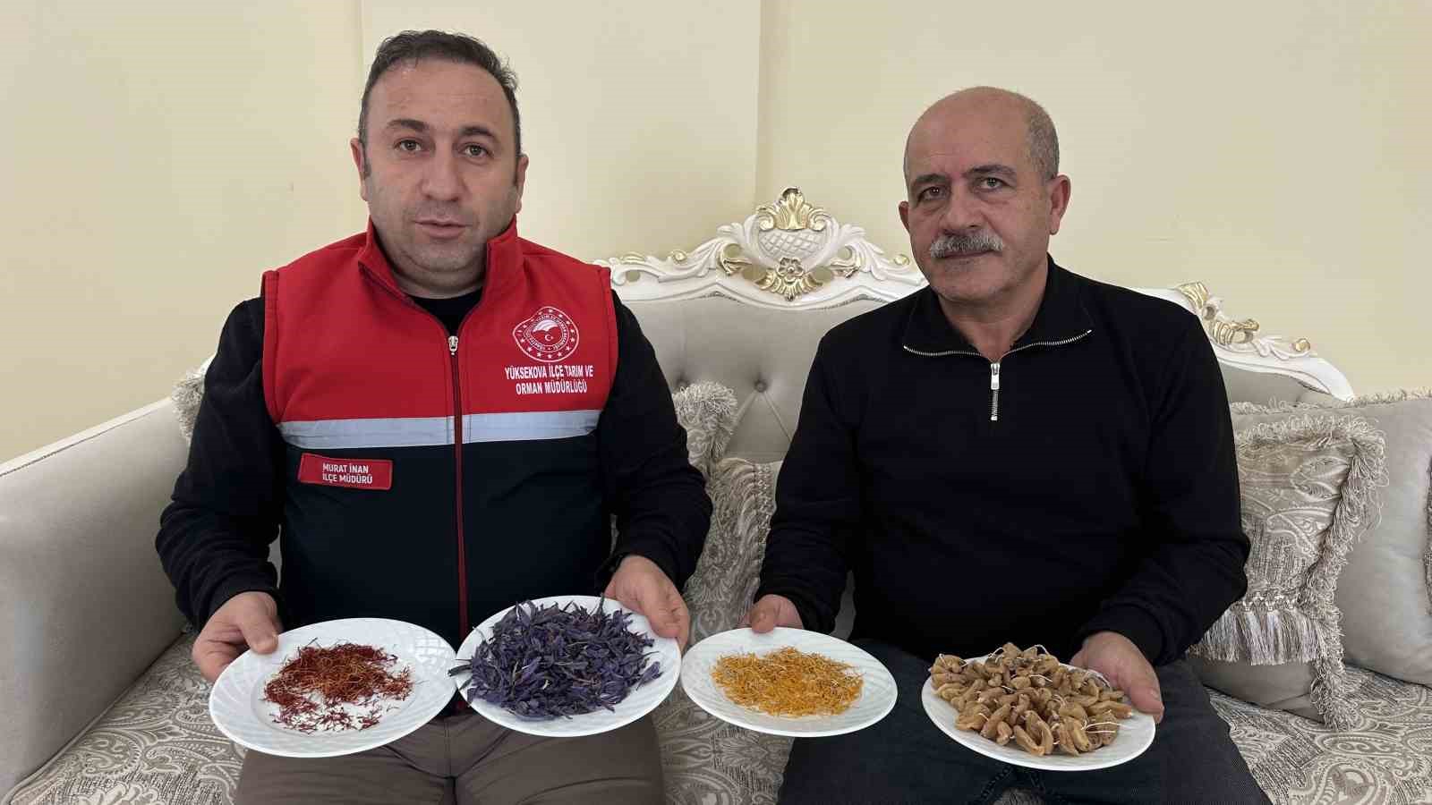 "Yapamazsın" diyenlere inat yetiştirdiği safran ve salebi evinde tüketiyor 5 yapamazsin diyenlere inat yetistirdigi safran ve salebi evinde tuketiyor 1 mWnGu9IH