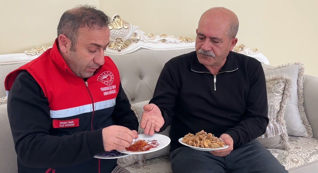 "Yapamazsın" diyenlere inat yetiştirdiği safran ve salebi evinde tüketiyor 15 yapamazsin diyenlere inat yetistirdigi safran ve salebi evinde tuketiyor 11 BHRgF8ML