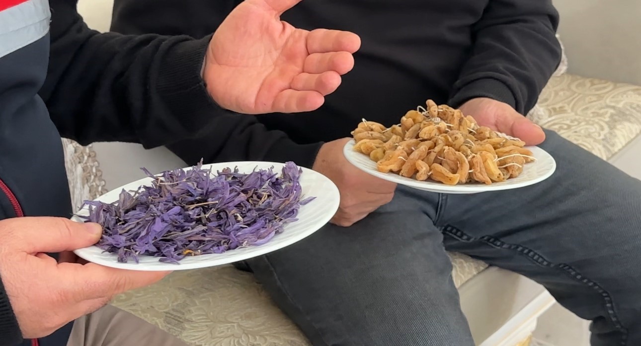 "Yapamazsın" diyenlere inat yetiştirdiği safran ve salebi evinde tüketiyor 7 yapamazsin diyenlere inat yetistirdigi safran ve salebi evinde tuketiyor 3 bsttvLBa