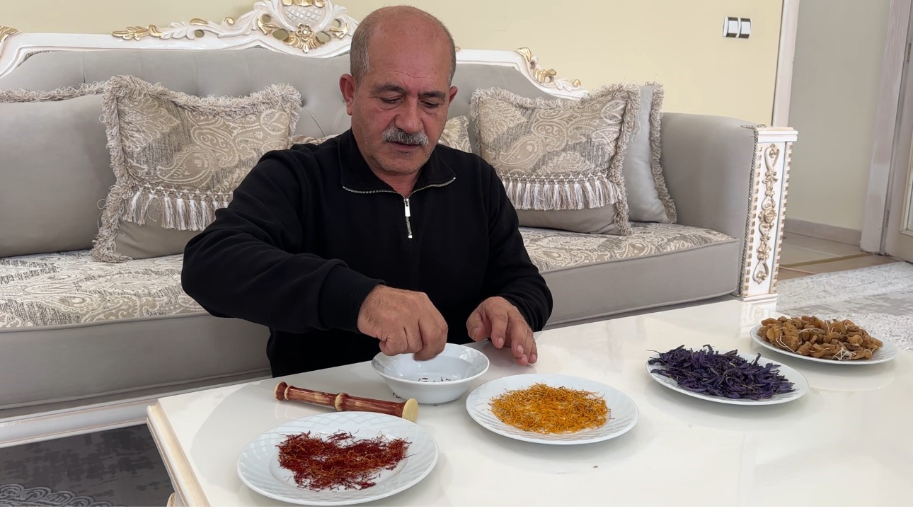 "Yapamazsın" diyenlere inat yetiştirdiği safran ve salebi evinde tüketiyor 10 yapamazsin diyenlere inat yetistirdigi safran ve salebi evinde tuketiyor 6 zVQeOzpB