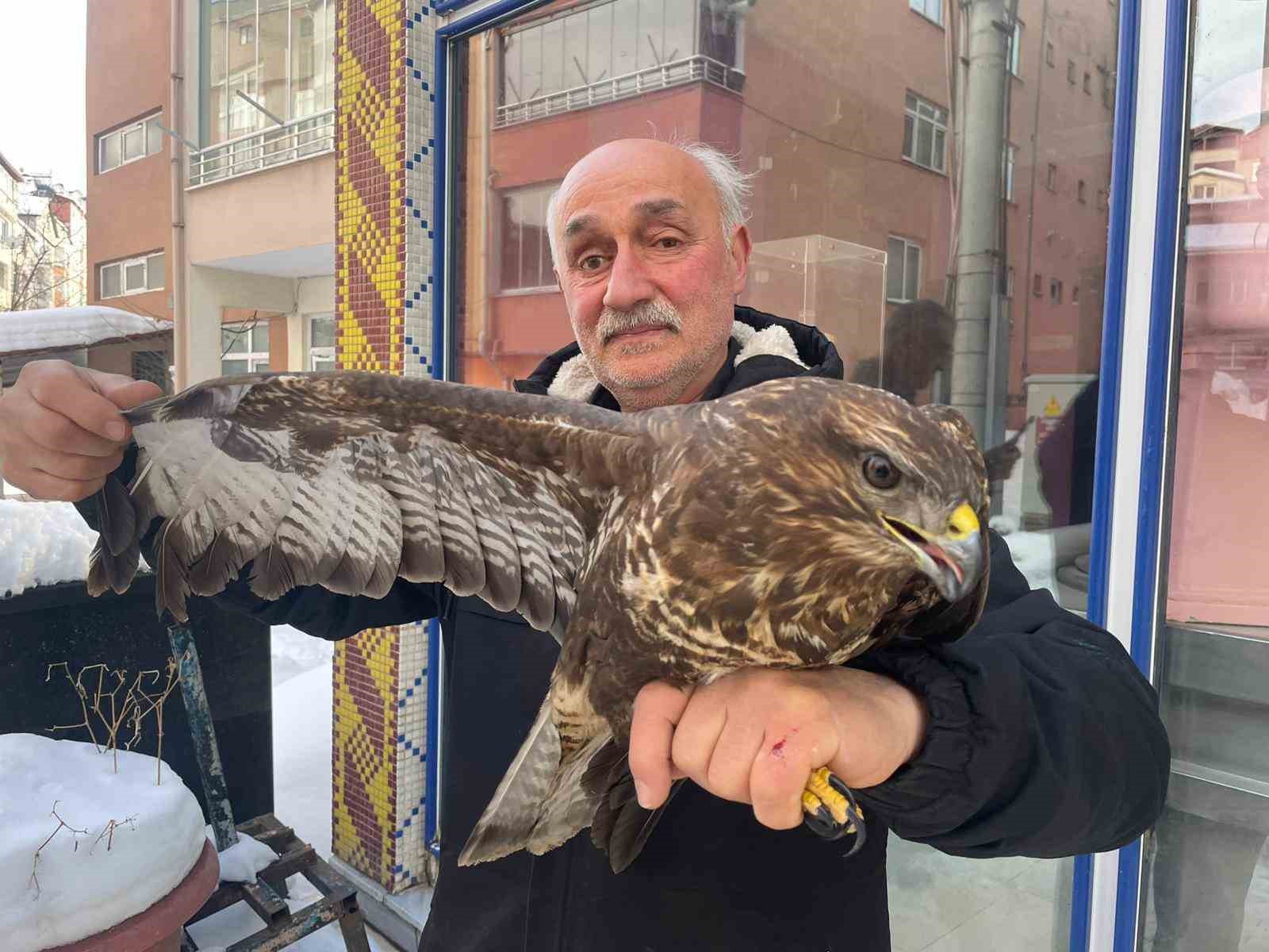 yarali boz sahine sefkat eli 0 sRei18yy