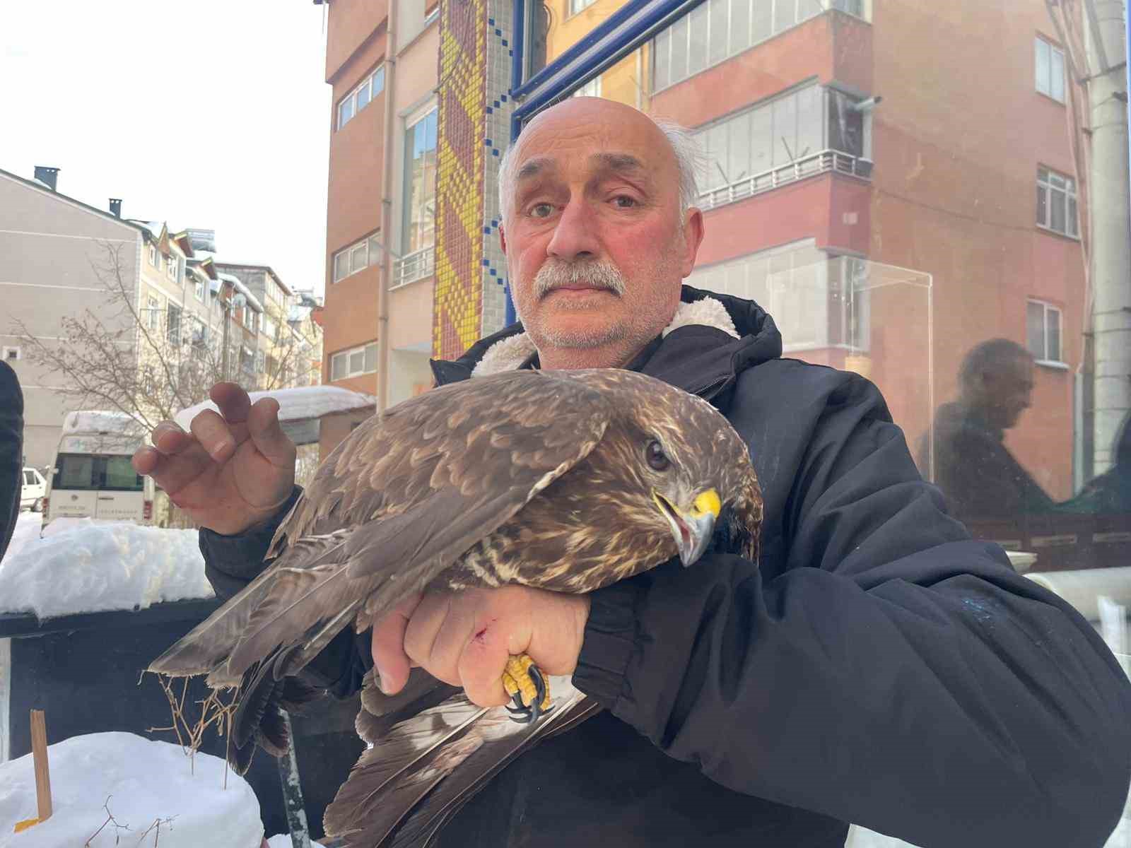 yarali boz sahine sefkat eli 1
