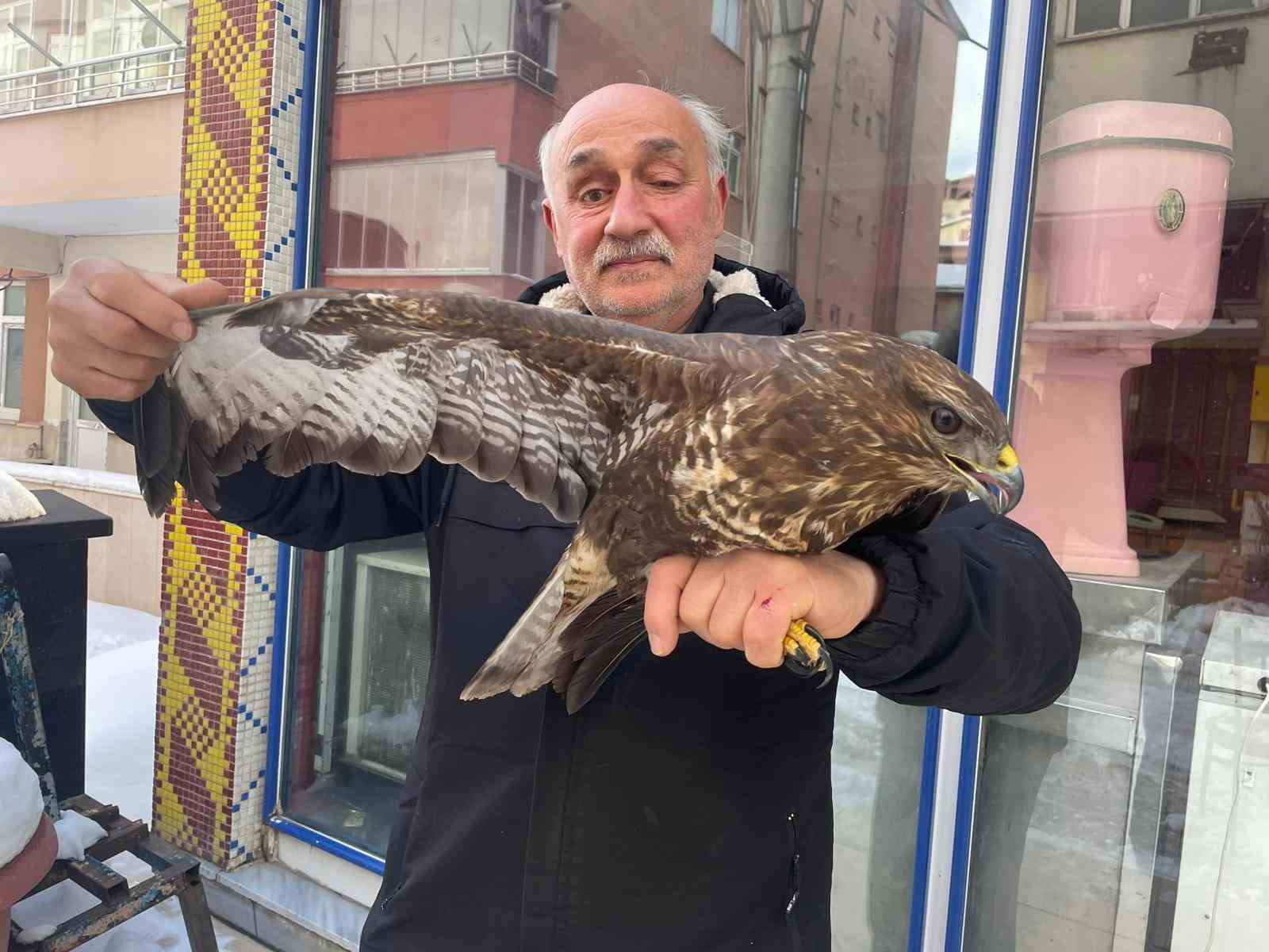 yarali boz sahine sefkat eli 2 iYODaEdC