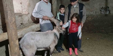 yarali-halde-bulduklari-dag-kecisine-garip-adini-verdiler-xlYCgK8W.jpg