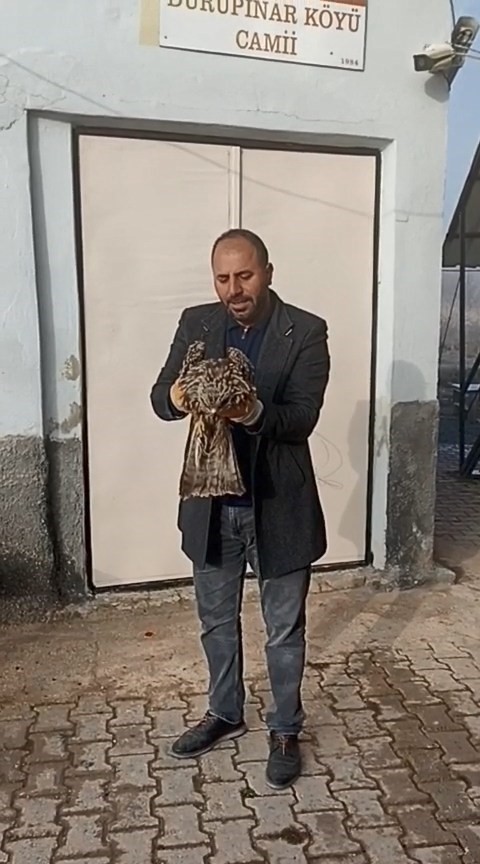 yarali kartal koruma altina alindi 0 1lCYWHBv
