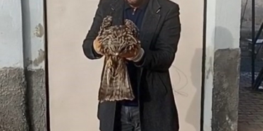 yarali-kartal-koruma-altina-alindi-aJ5e3TVu.jpg
