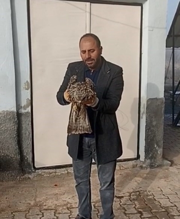 yarali-kartal-koruma-altina-alindi-aJ5e3TVu.jpg