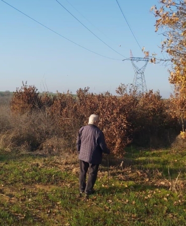 yargitaydan-kamulastirma-davasinda-emsal-karar-Jl8cePPv.jpg