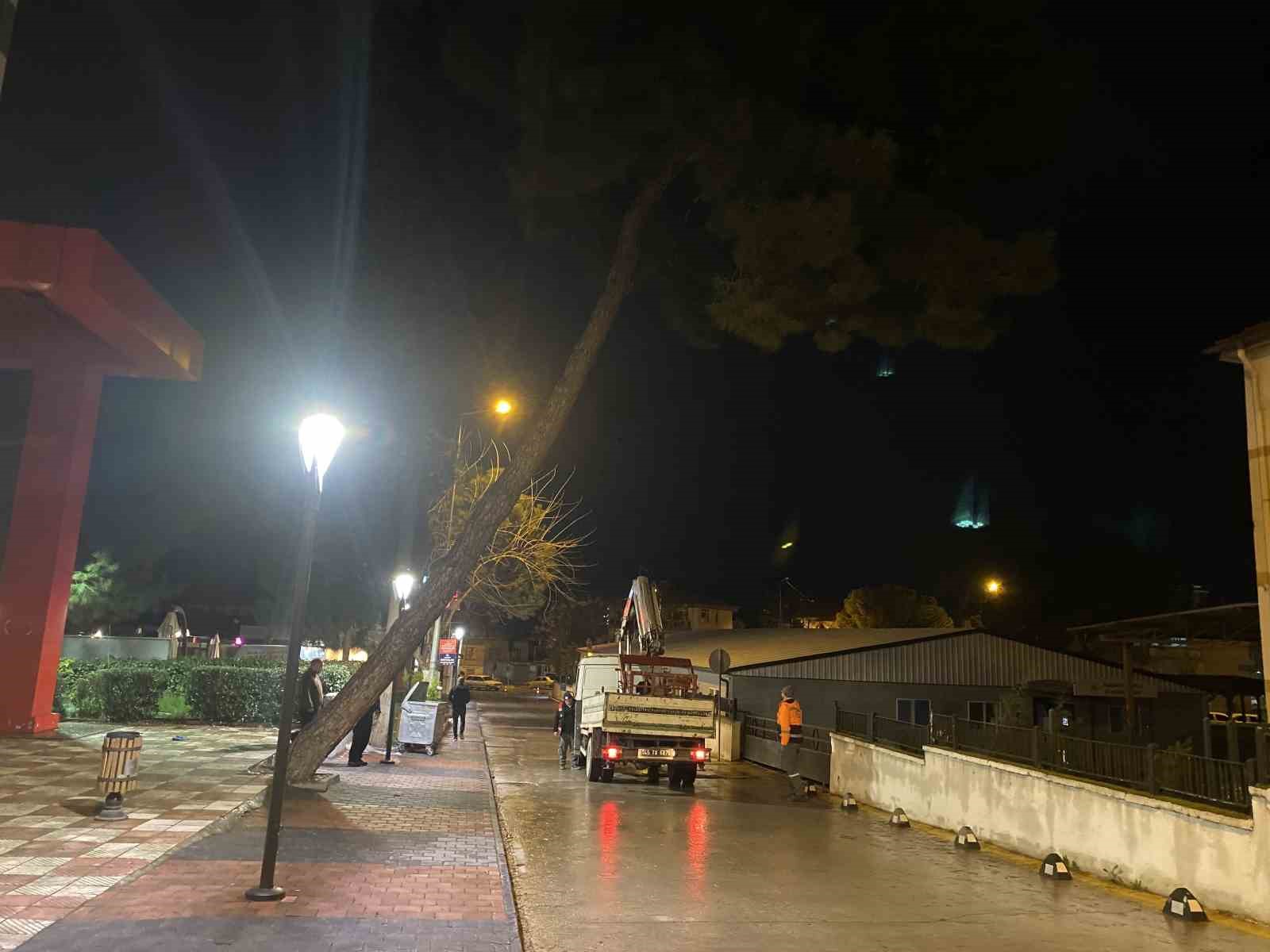 yarim asirlik cam agaci firtinaya dayanamadi 1 My8yfdEZ